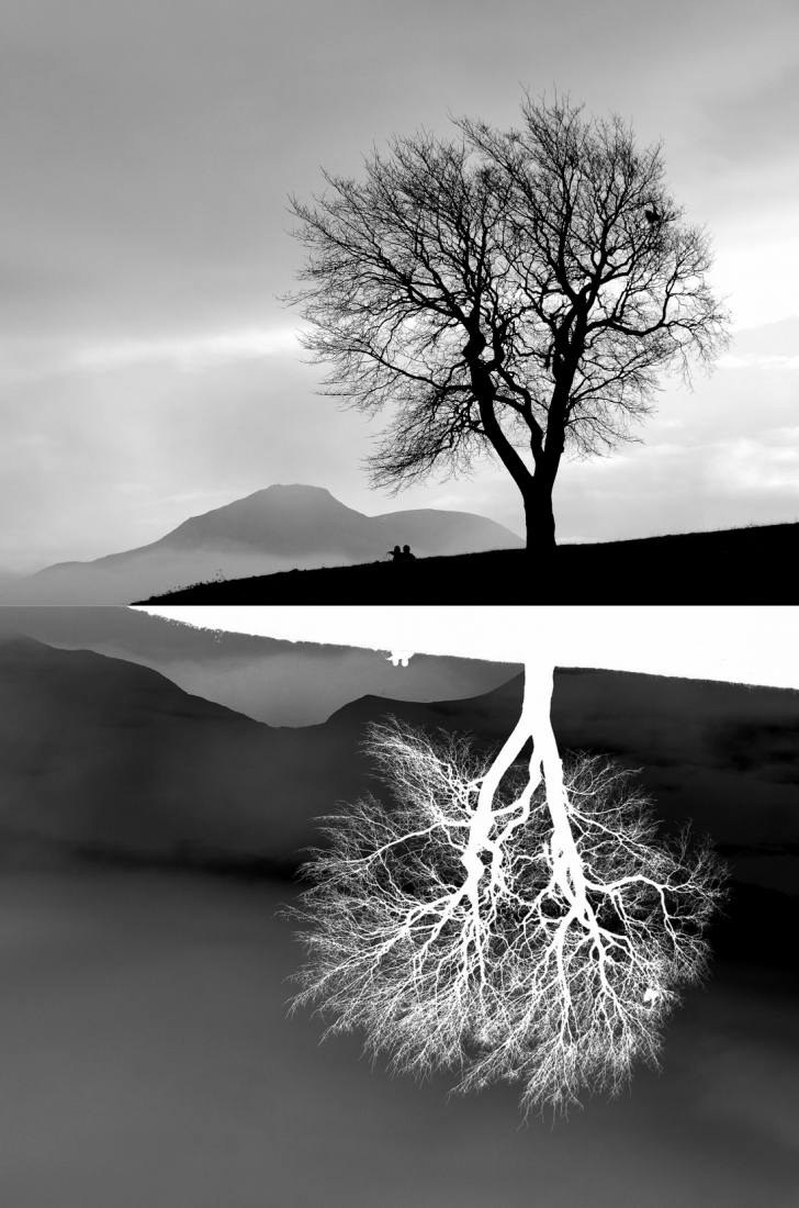 Reversed reflections