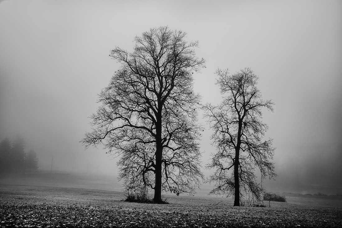 Hidden Land