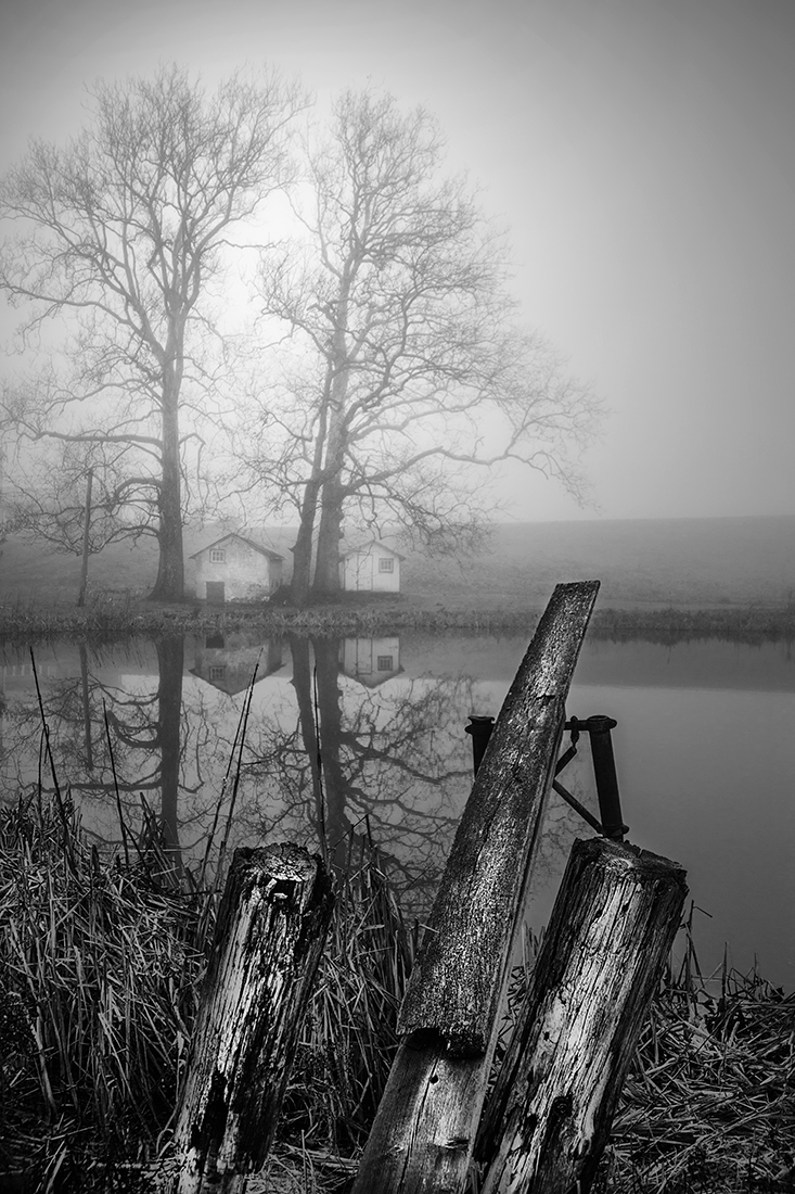 Hidden Land
