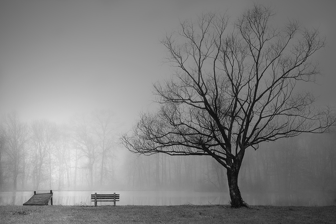 Hidden Land