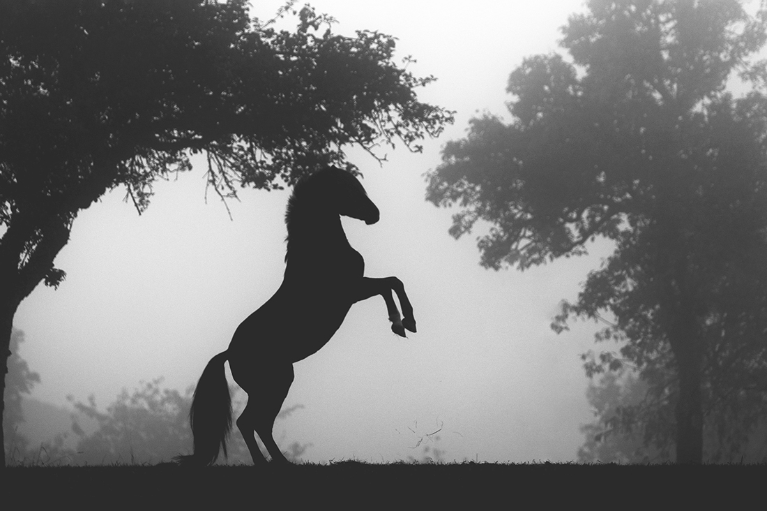 Dancing in the fog