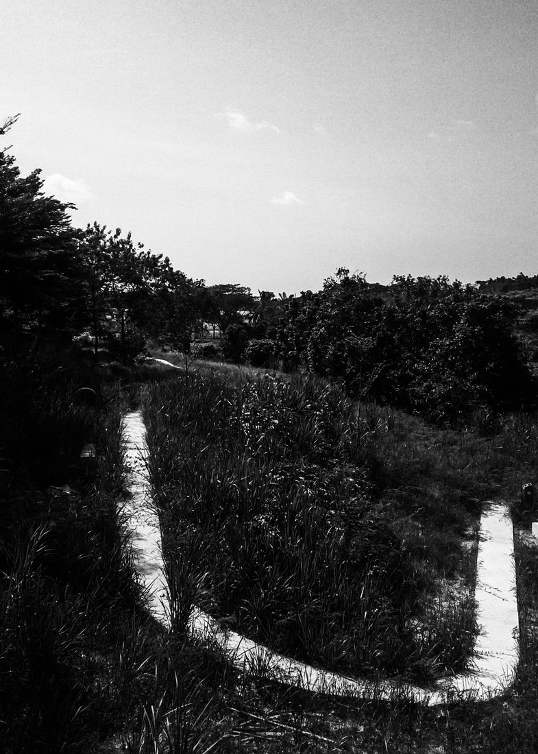 Deep and Quiet Path