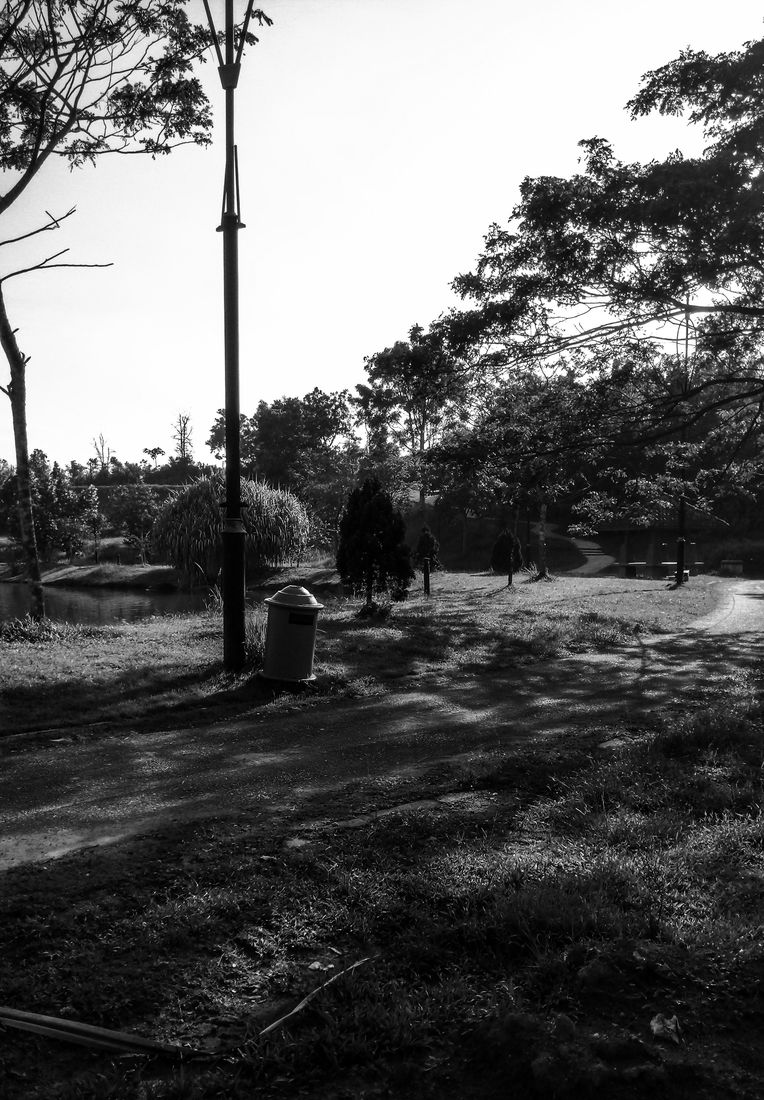 Deep and Quiet Path
