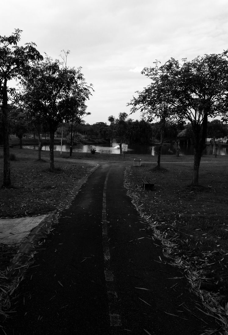 Deep and Quiet Path