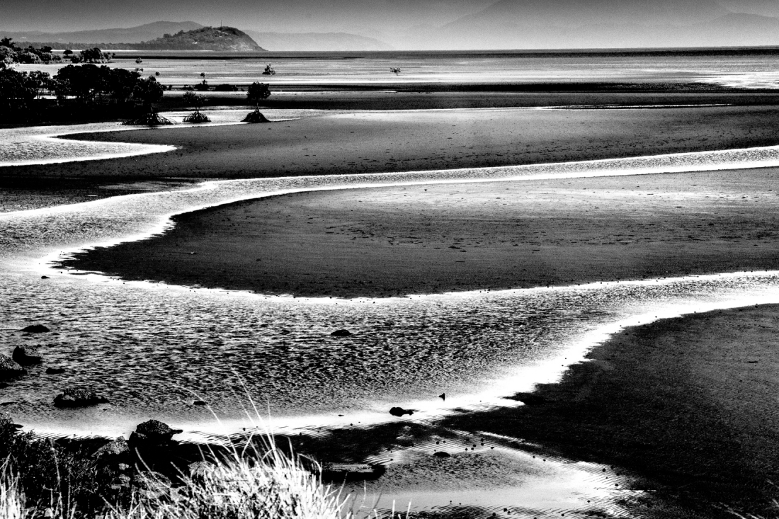 Light in Wetland