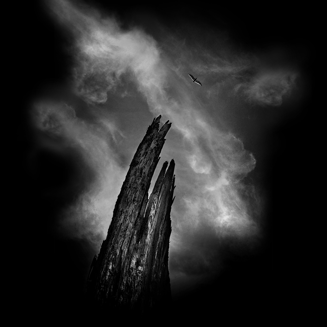 Archangel