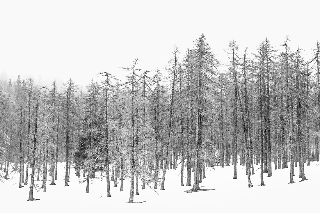MONOCROME |  Walking through the Ampezzo Dolomites 
