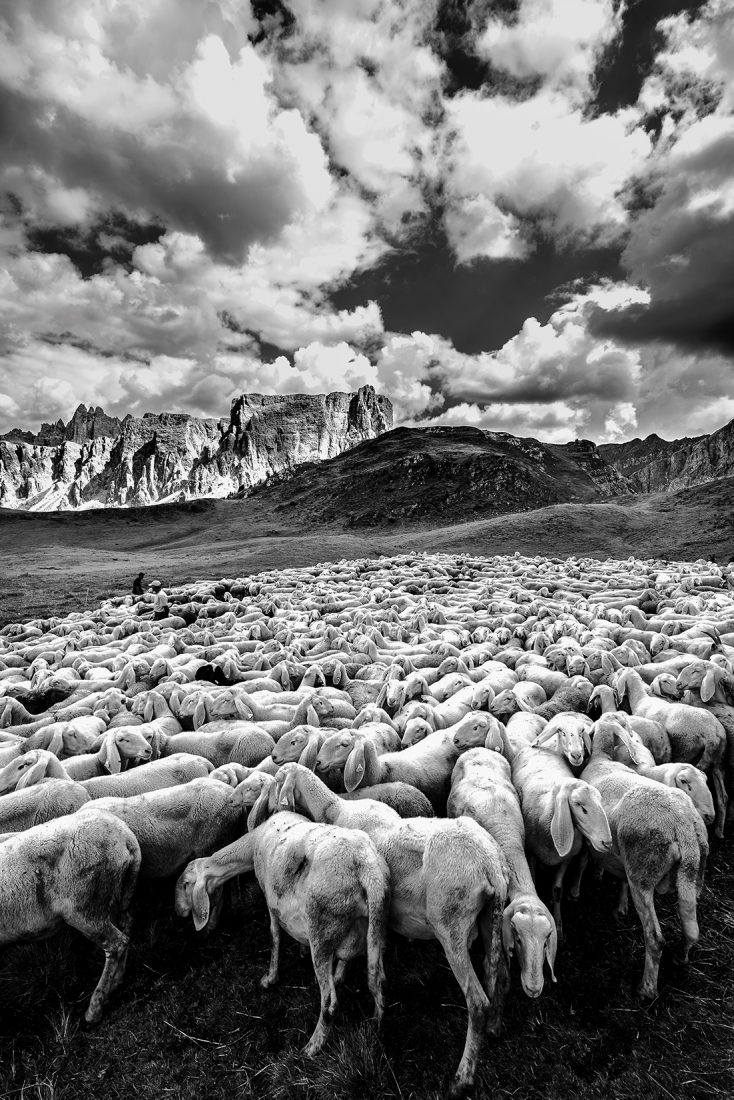 MONOCROME |  Walking through the Ampezzo Dolomites 