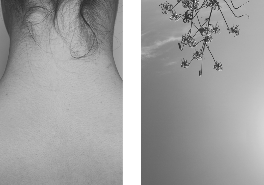 Synaesthesia 