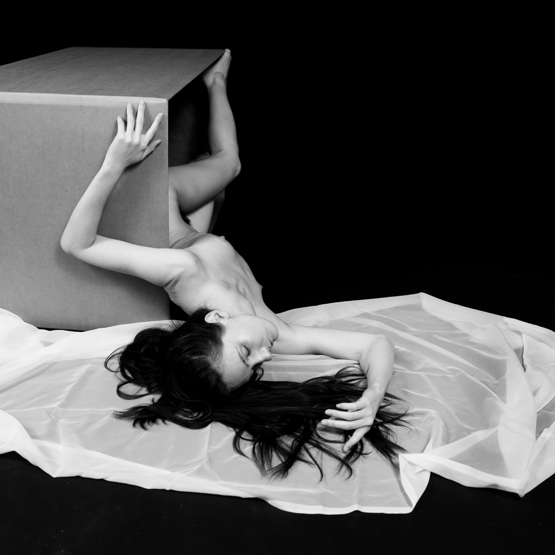 Homage to Ruth Bernhard