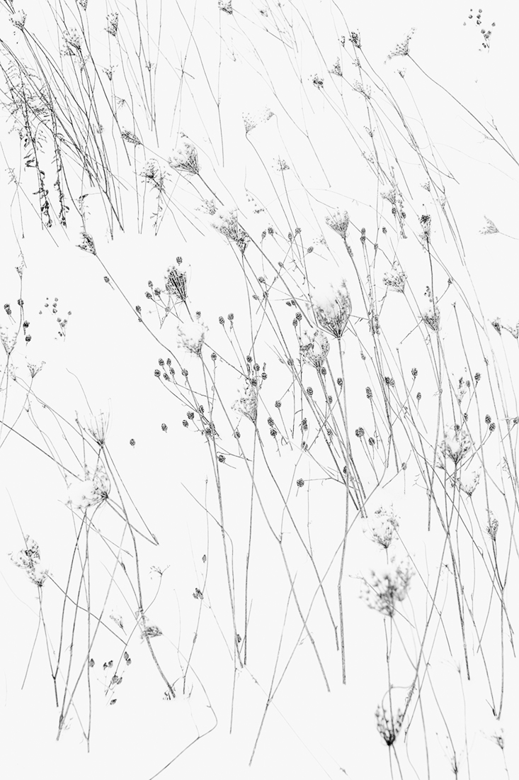 Season of Silence