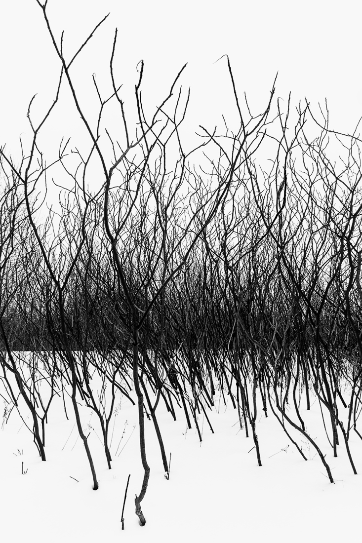 Season of Silence