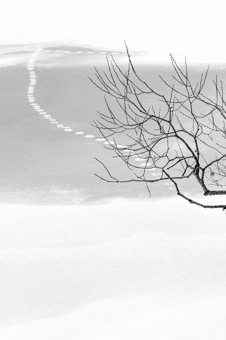 Season of Silence