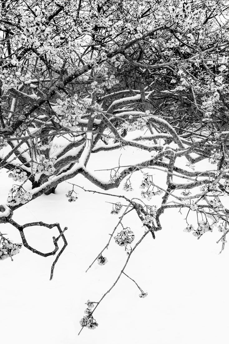 Season of Silence