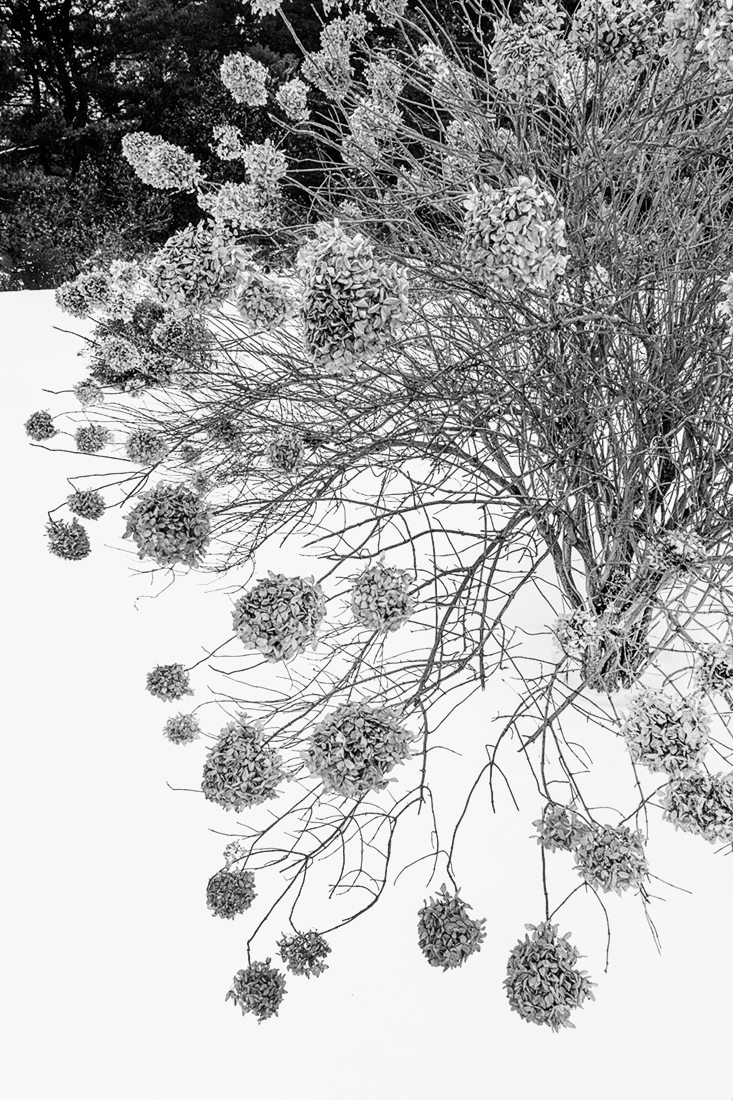 Season of Silence