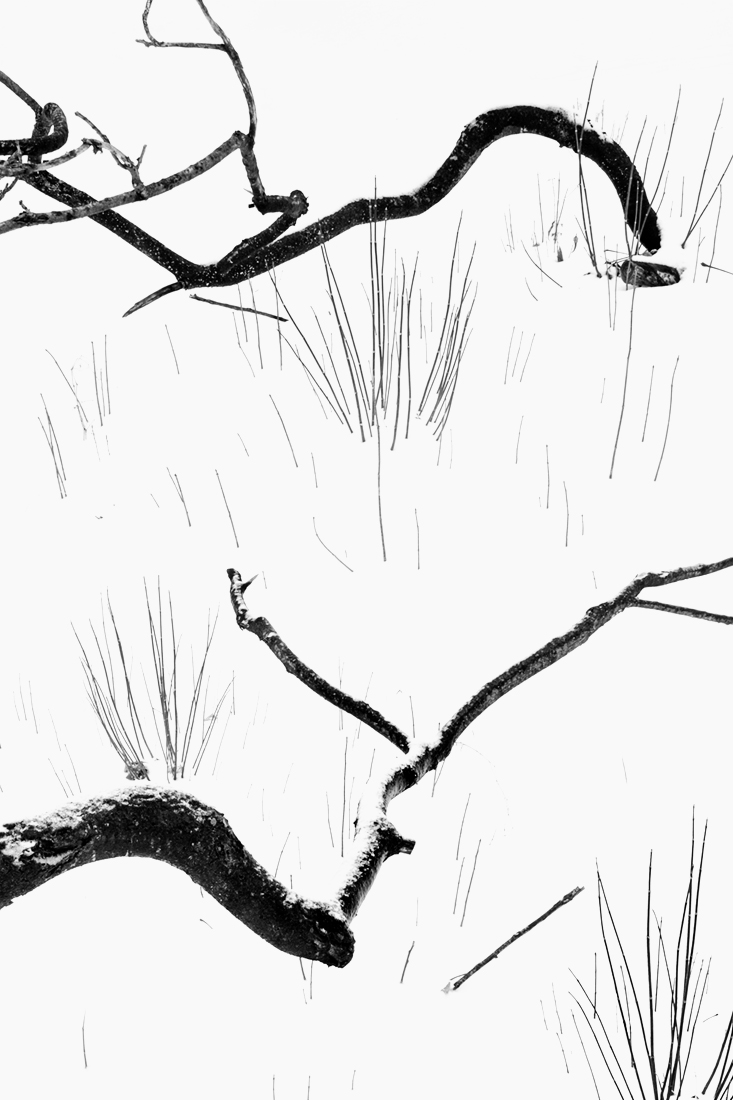 Season of Silence