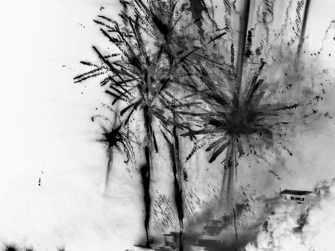 NEGATIVE FIRES