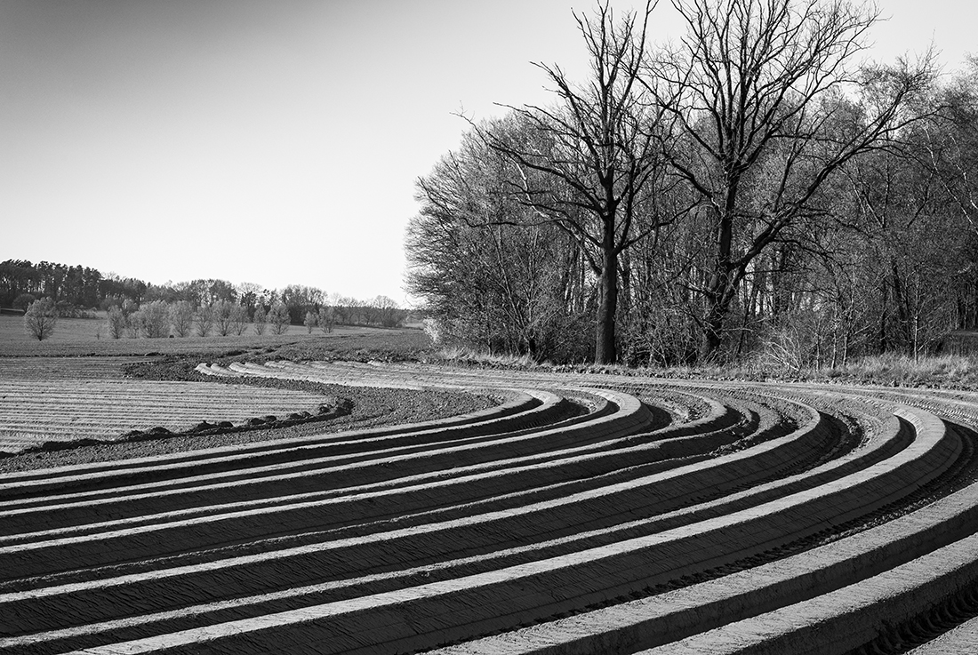Structures in landscape