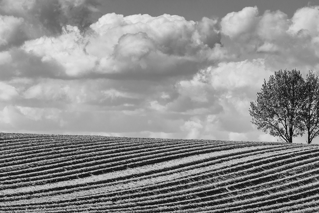 Structures in landscape