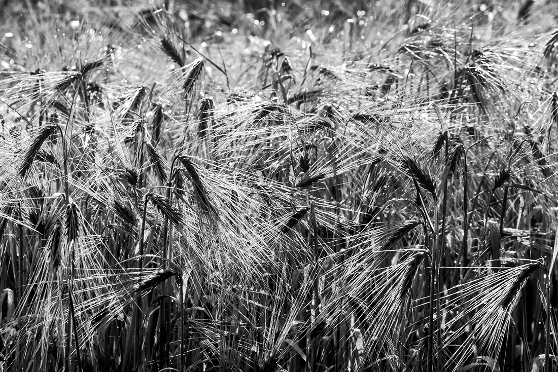 Structures in landscape