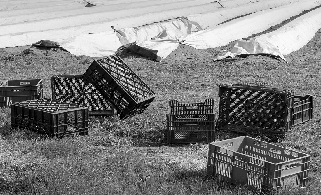 Structures in landscape