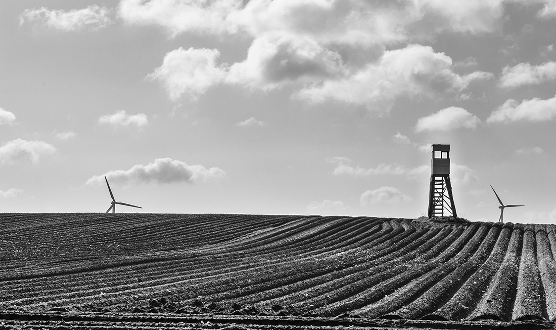 Structures in landscape