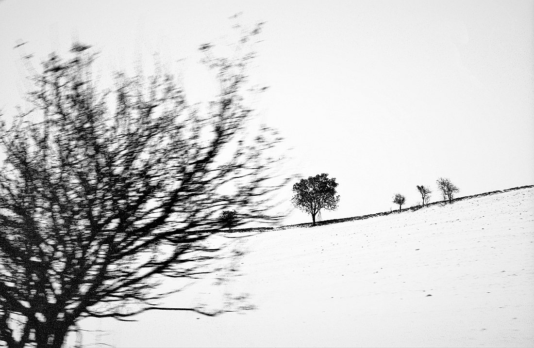 MOLISE