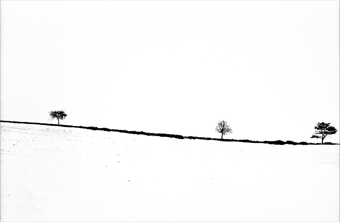 MOLISE