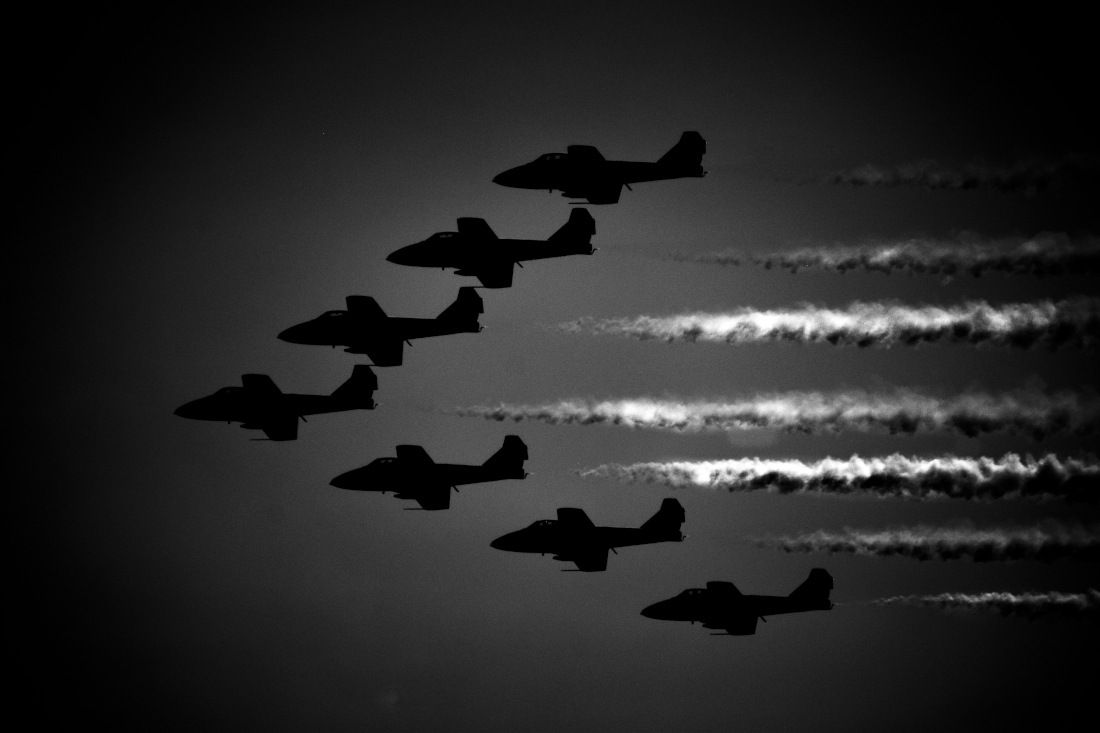 snow birds canada