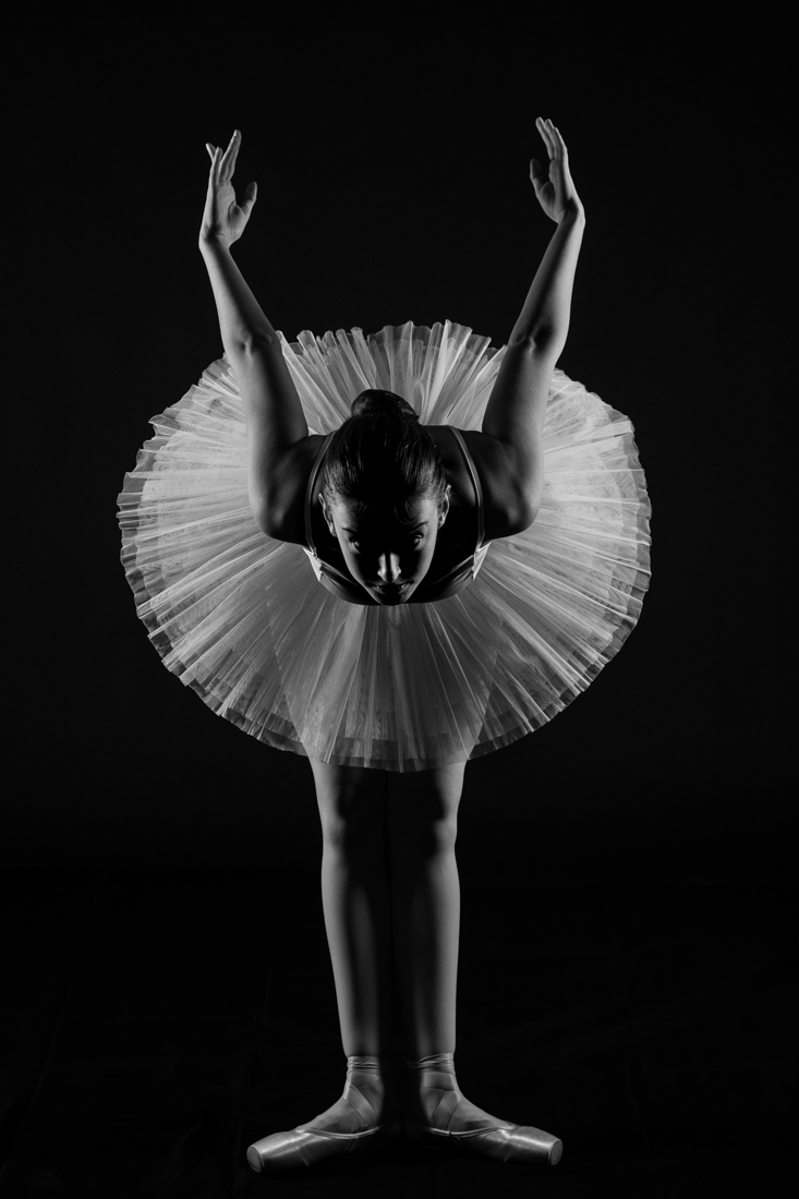 Elegancy