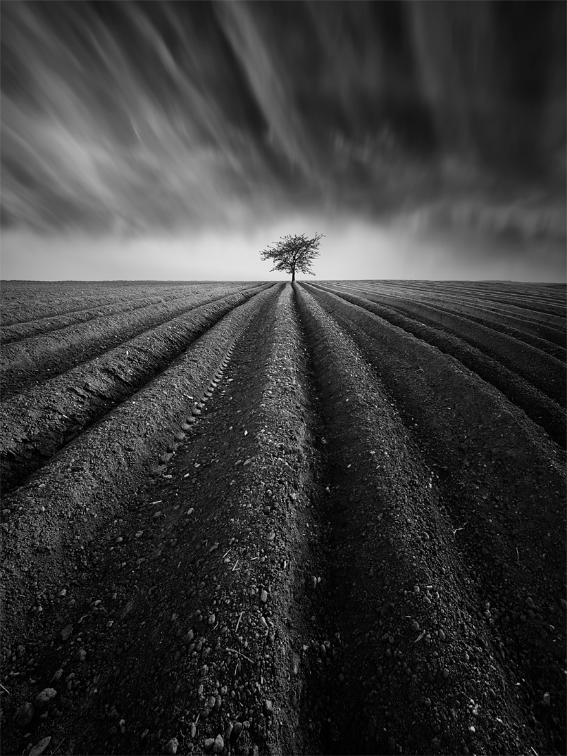 The Furrows
