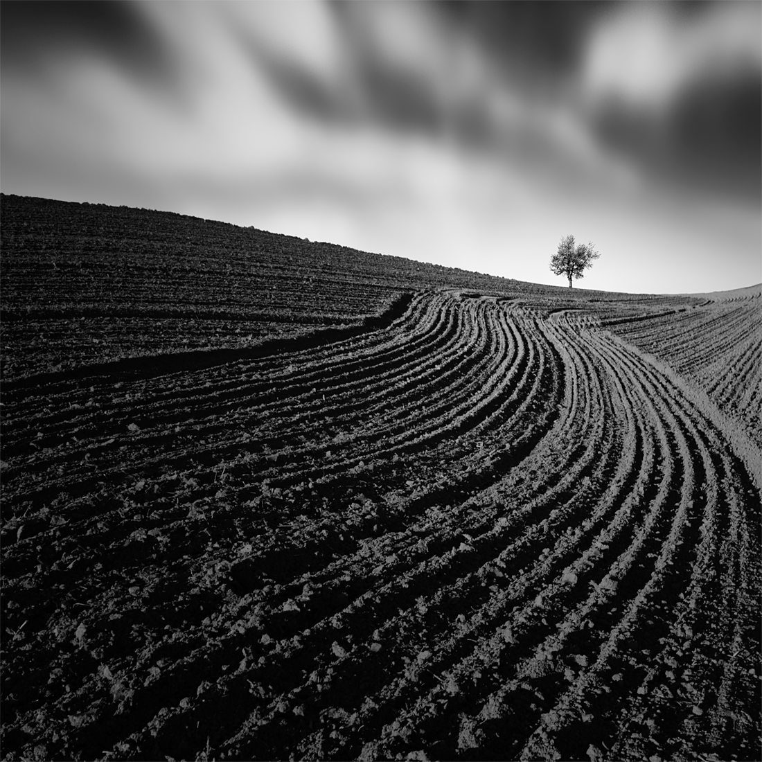 The Furrows