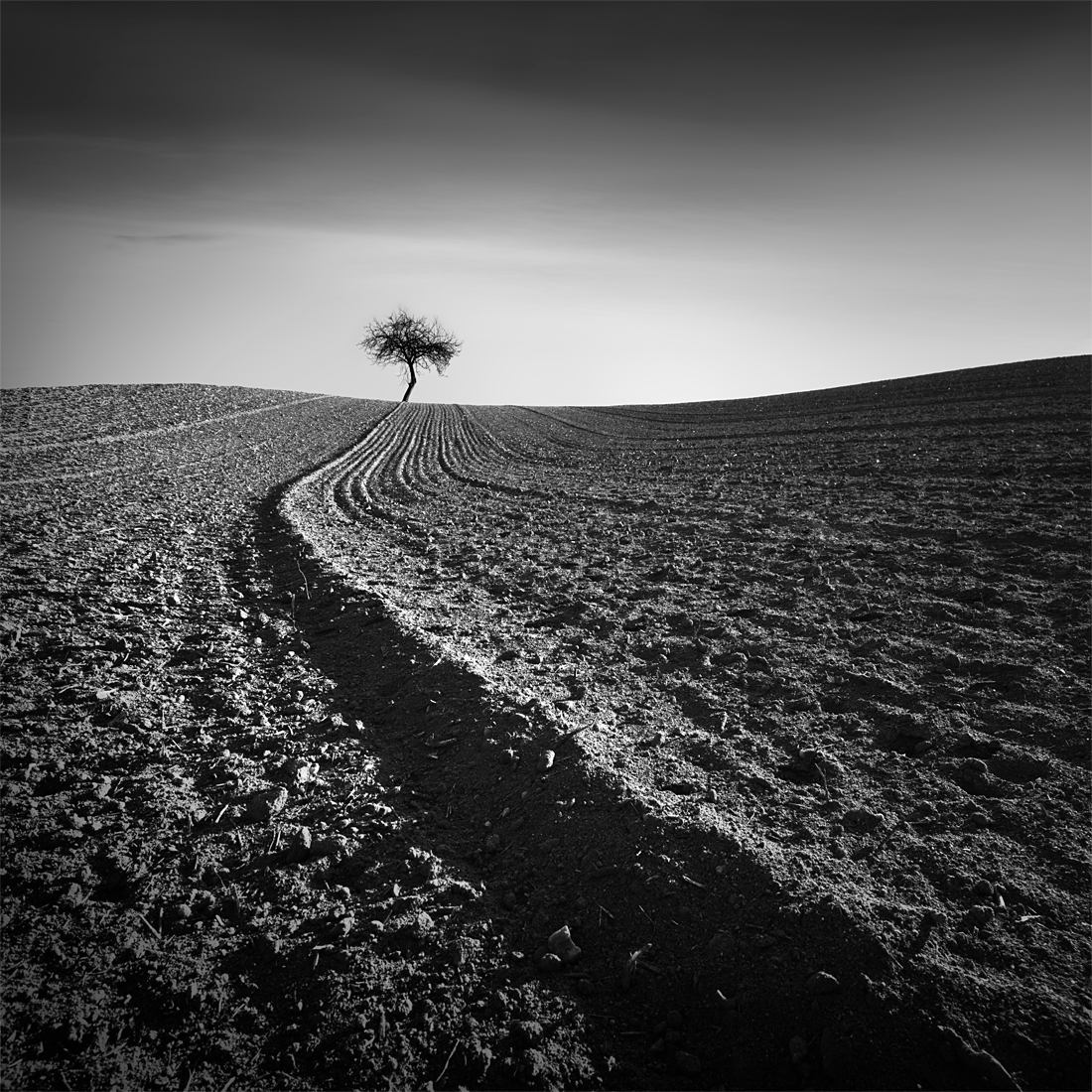 The Furrows