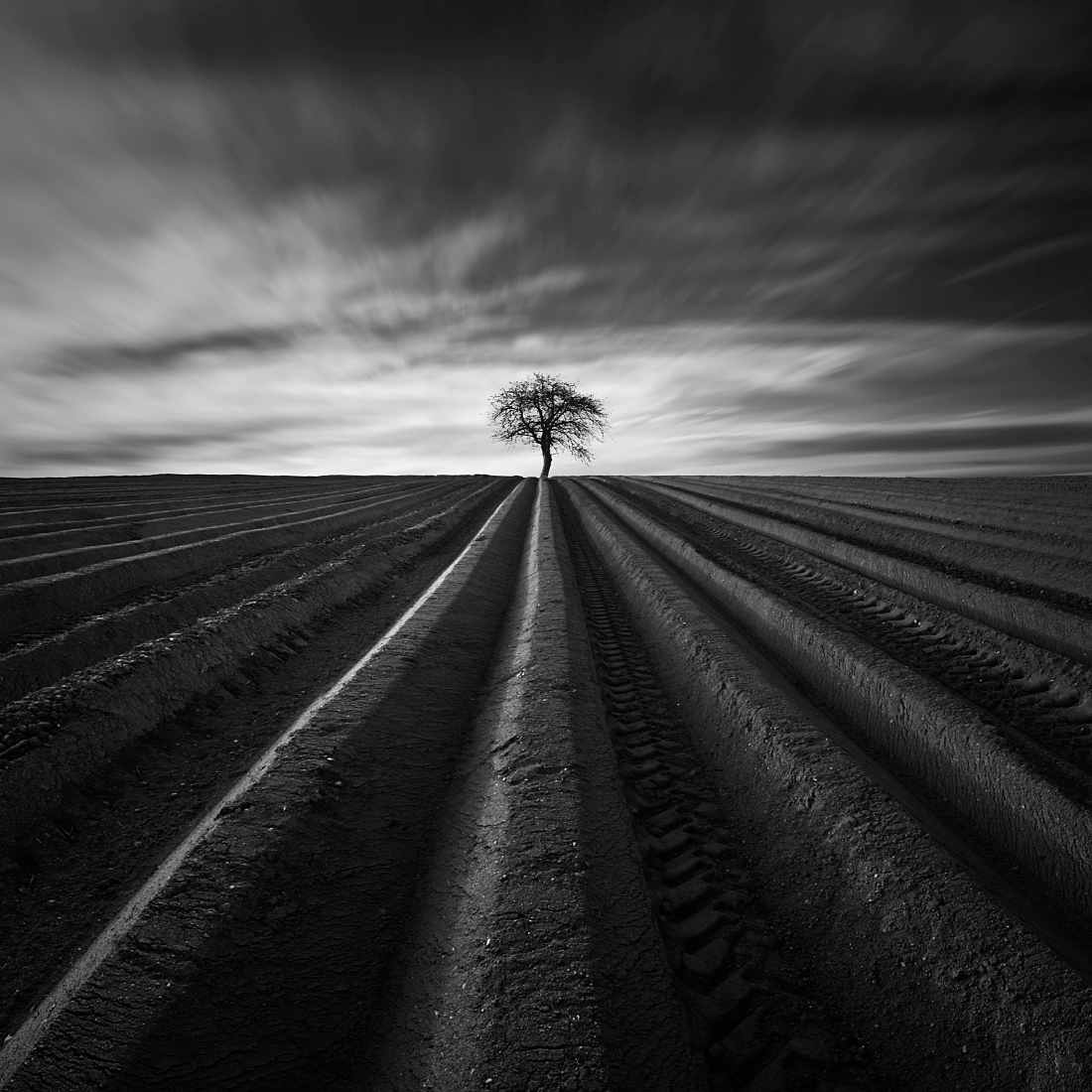 The Furrows
