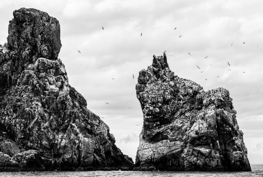 The seagull rock