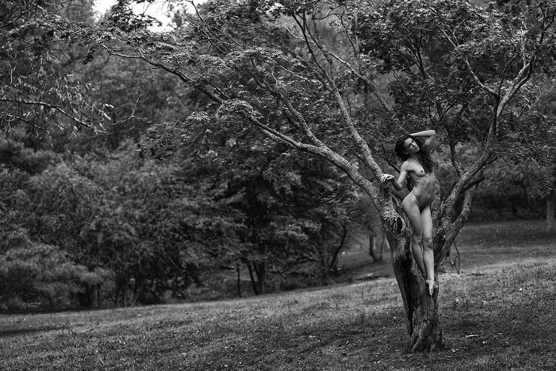 Treescape with Nude Model