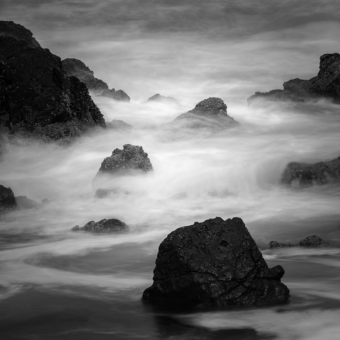 AQUATIERRA