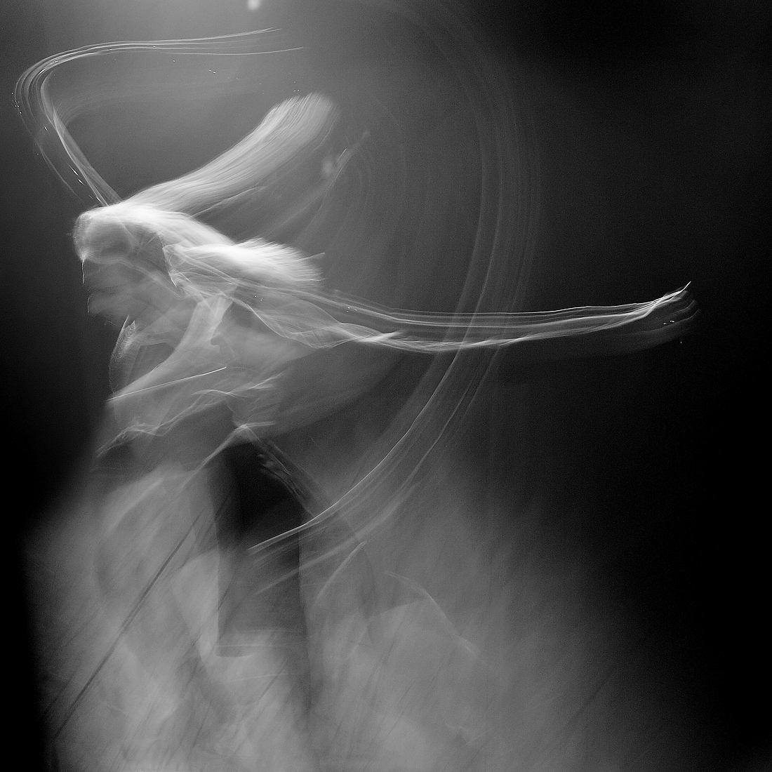 The Spirit of Dance