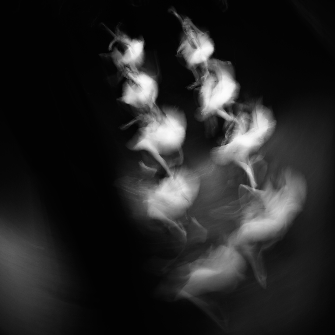 The Spirit of Dance