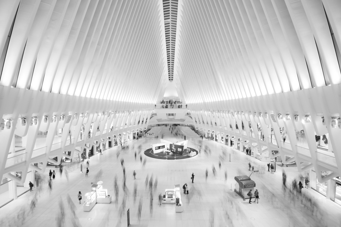 The Oculus 