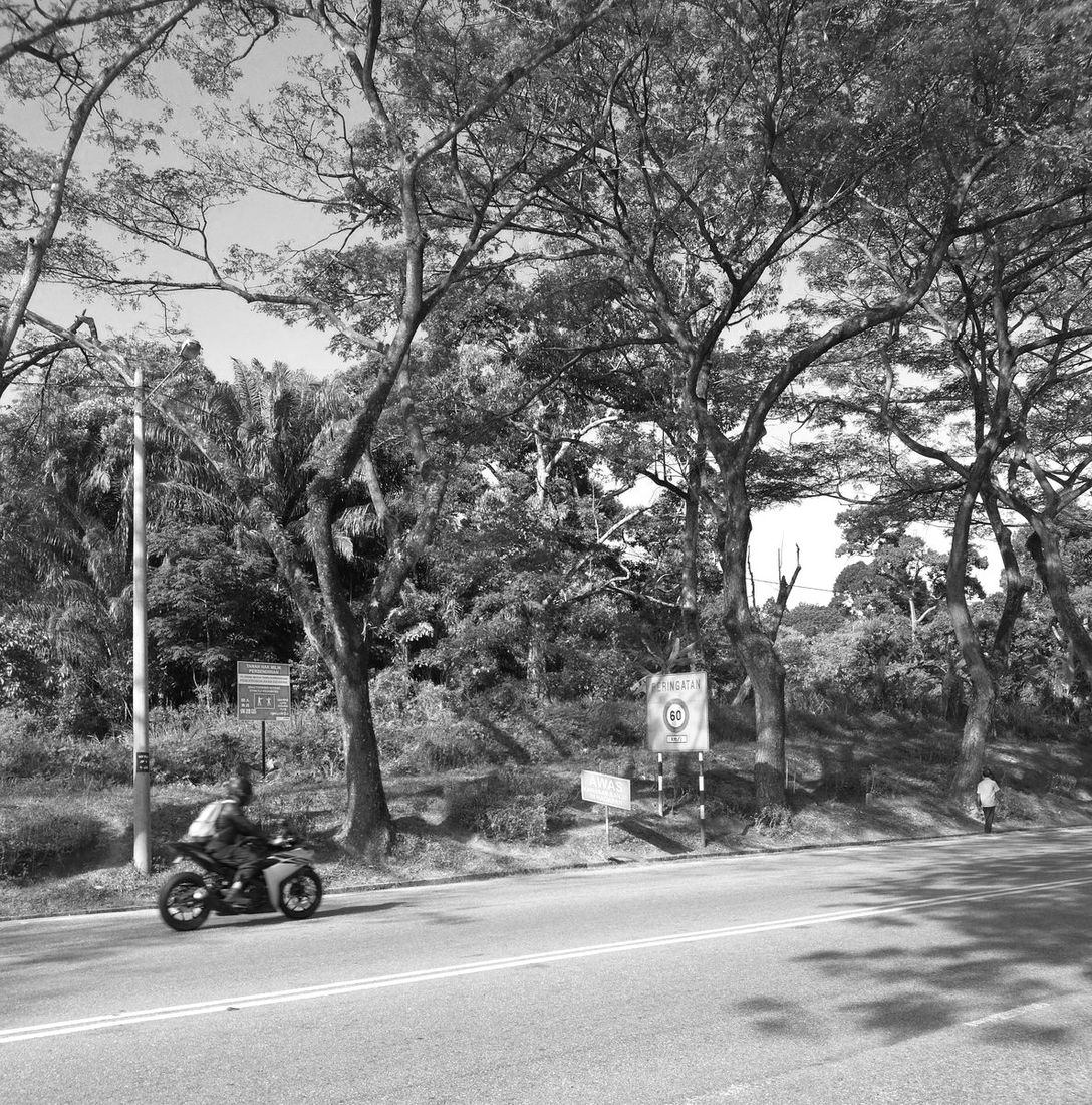 On the road