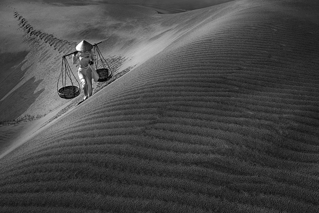 Dune