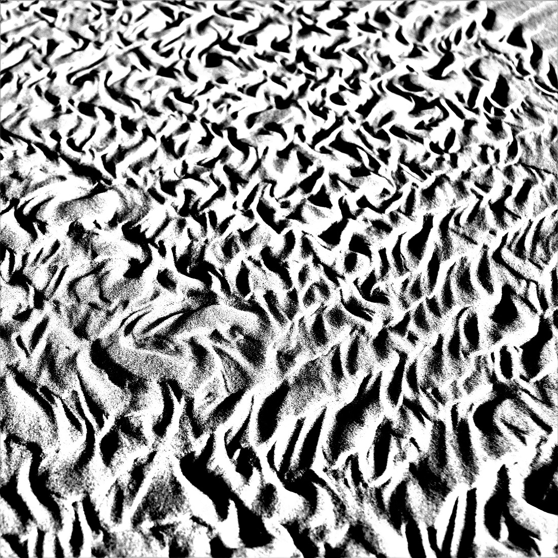 Beach Abstractions