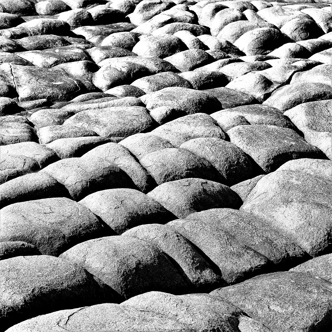 Beach Abstractions