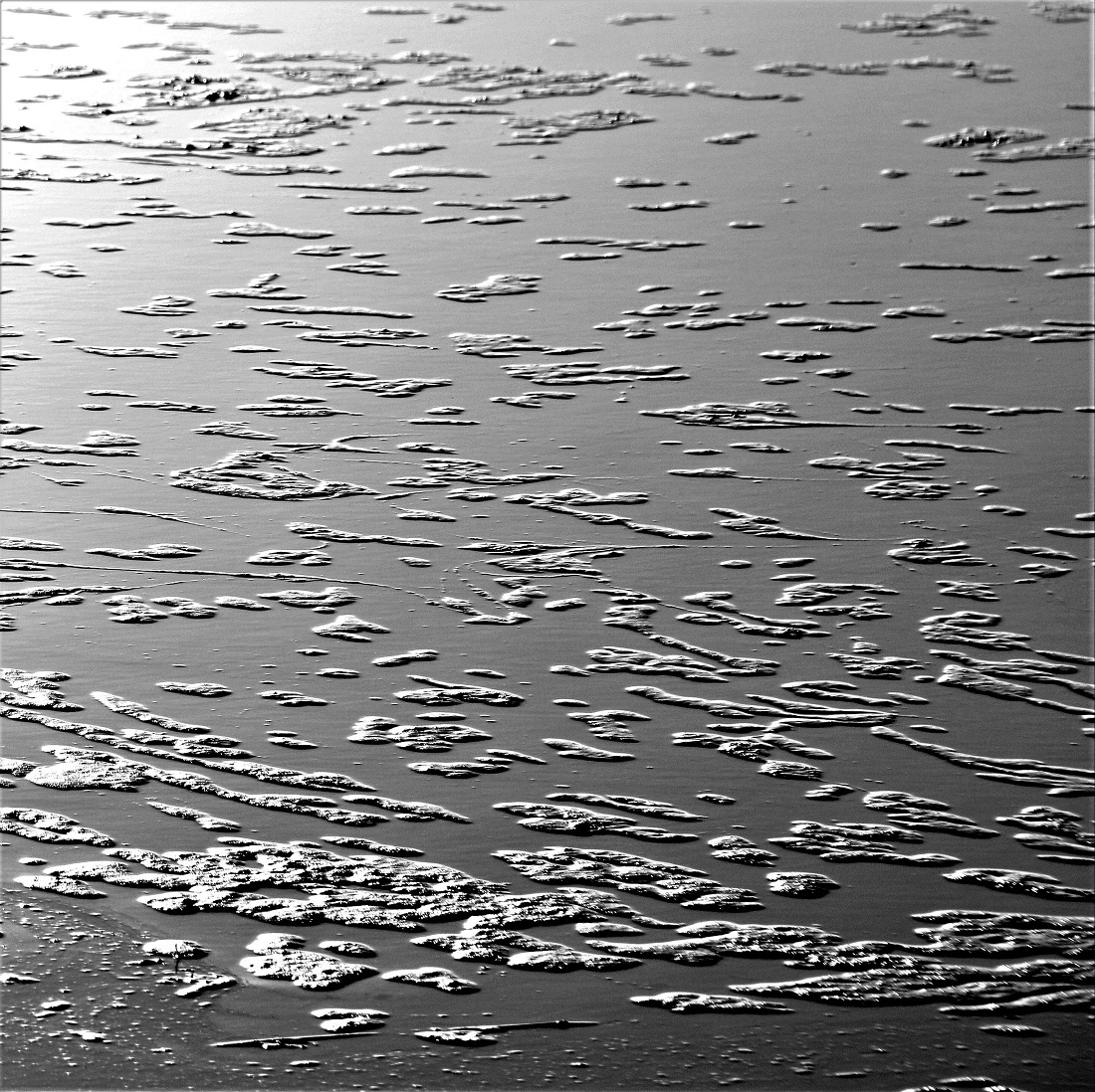 Beach Abstractions