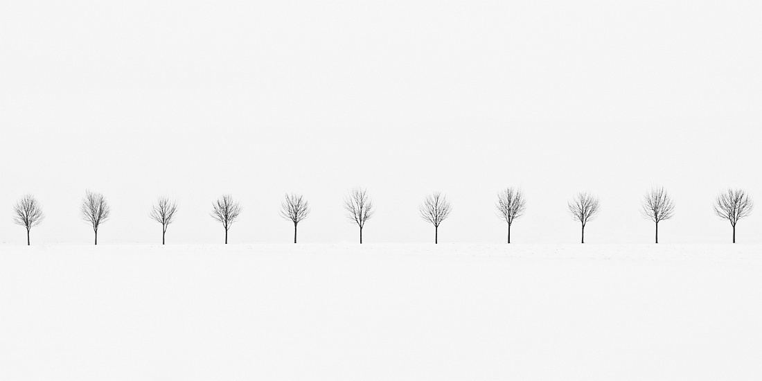 Allee