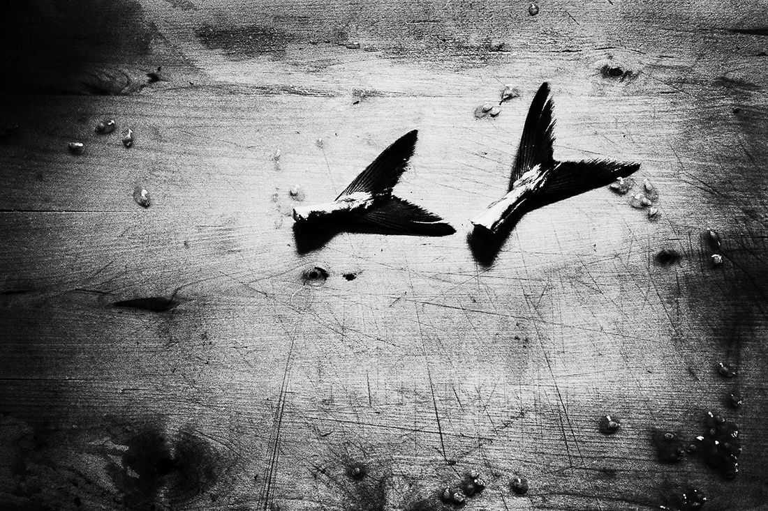 Under the eyes that few minutes exhist