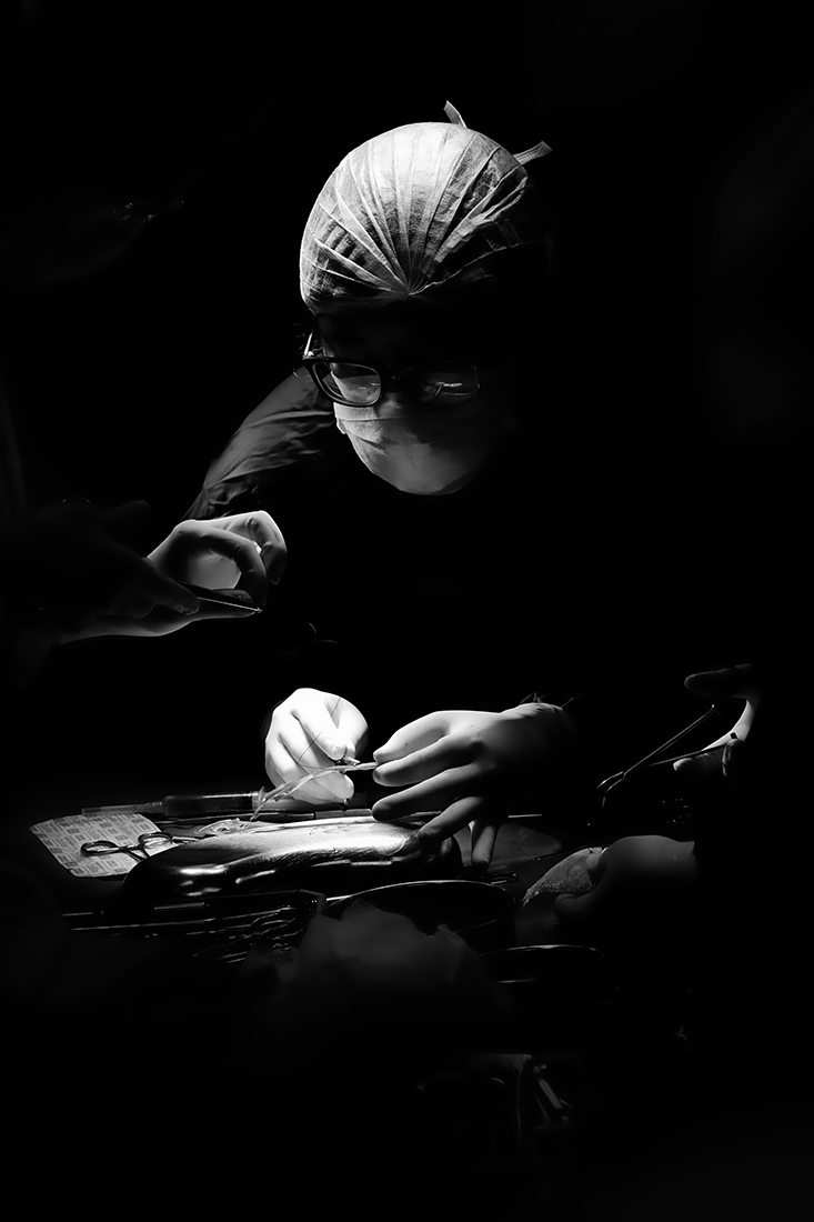 The surgeons at work