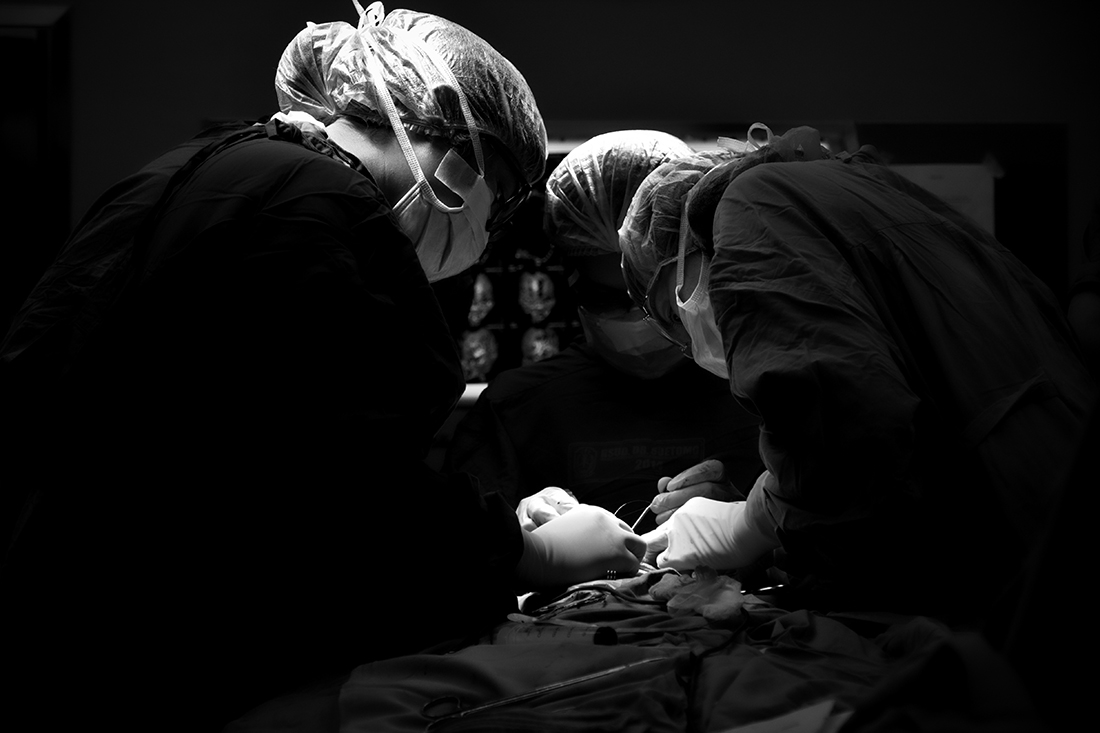 The surgeons at work