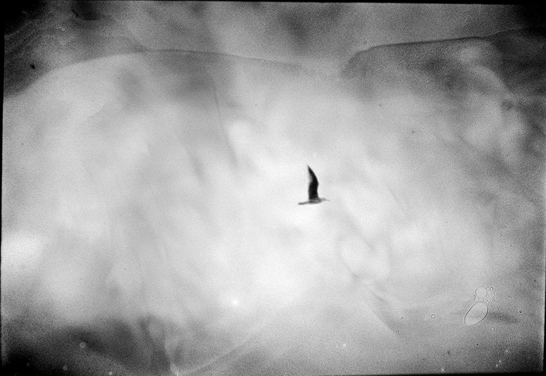 Inside The Grain